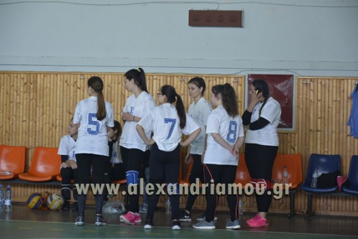 volley_1o-alexandreias-melikis2018 (33)